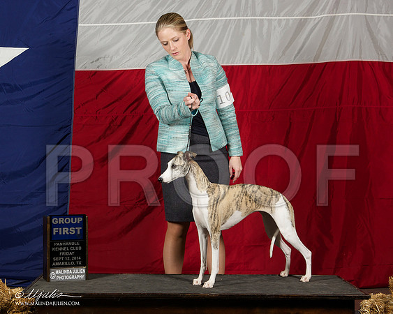 _ST_1758-AmarilloSep2014-HR3