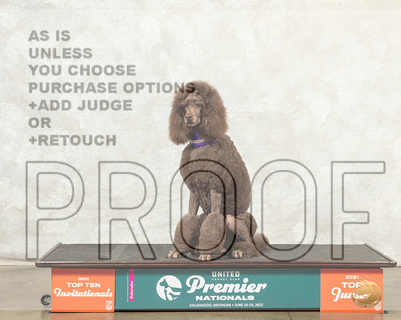 Poodle Std #150 Thur O4th Judge Maruerite Plank r__MJ_7517_Premier_2022_HR3