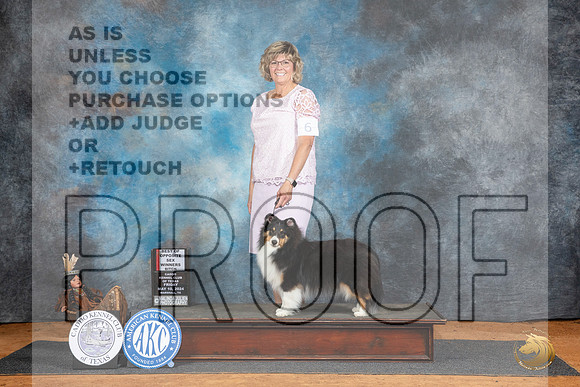 Shetland Sheepdog #6 Fri WBBOS Judge Karen Hynek__JP_7155_MARSHALL_2024_HR3