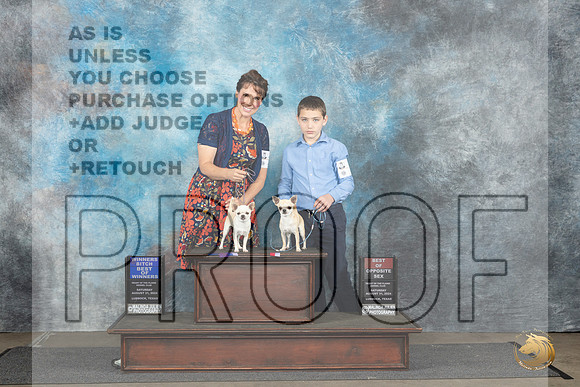 French Bulldogs #9 #12 WB BOS BOS Judge David Bolus__JP_3421_Lubbock_2024_HR3