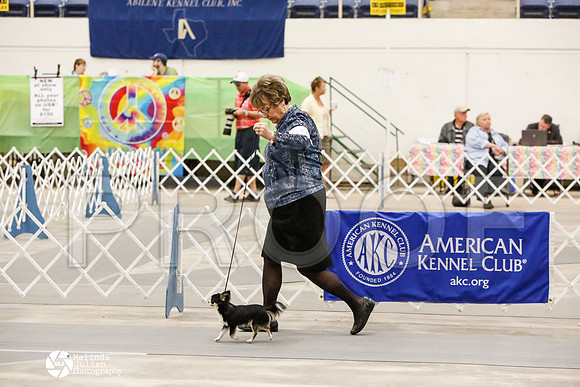 _CK_6735-AblnMay2014-web