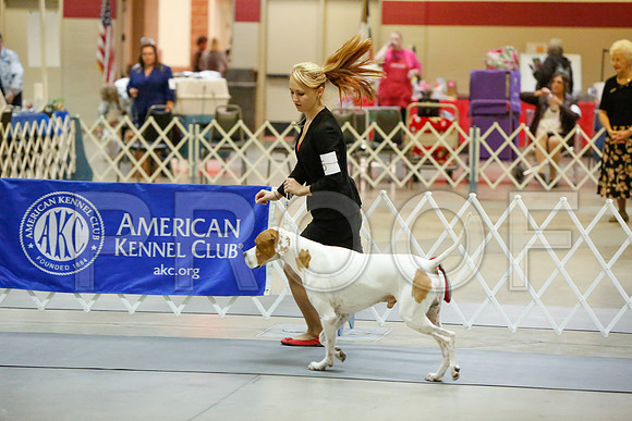 _JJ_2689-AmarilloSept2014-HR3