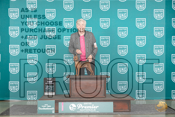 Miniature Pinscher #1017 Thur T10 Judge Sharon Griffin__JP_0848_Premier_2024_HR3