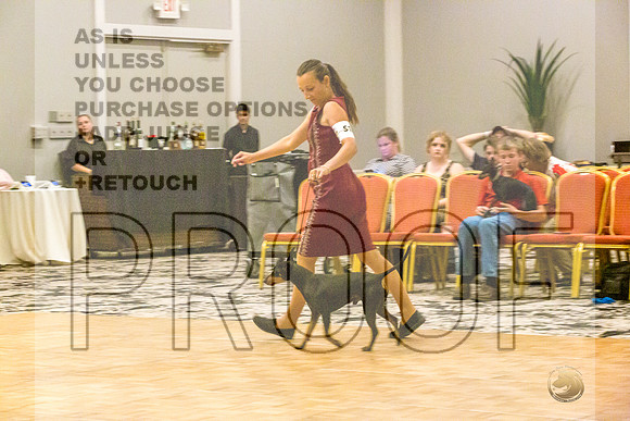 Manchester Terrier MTOY Candids-JJL_2154-Hstn2022_HR3