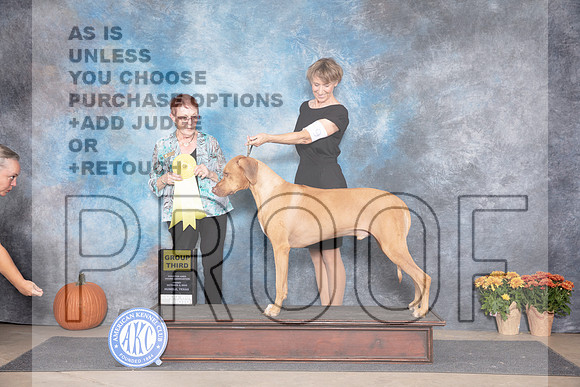 Rhodesian Ridegback #9 Fri G3 Judge Ann Meyer__JP_8292_Humble_2024_HR3