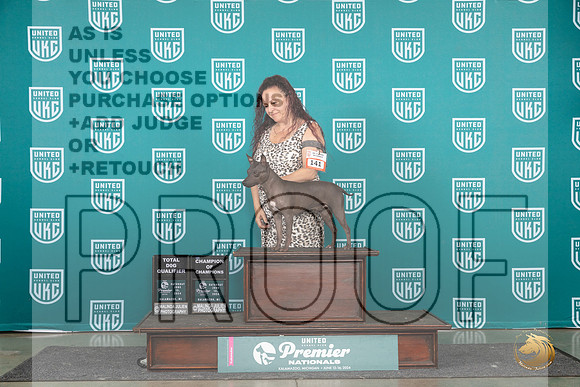American Hairless Terrier #141 Sat COC TD Judge Corianna Glenn__JP_2681_Premier_2024_HR3