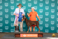 Doberman Pinscher #425 Fri BOB G1 BIS Judge Alan Krenek
