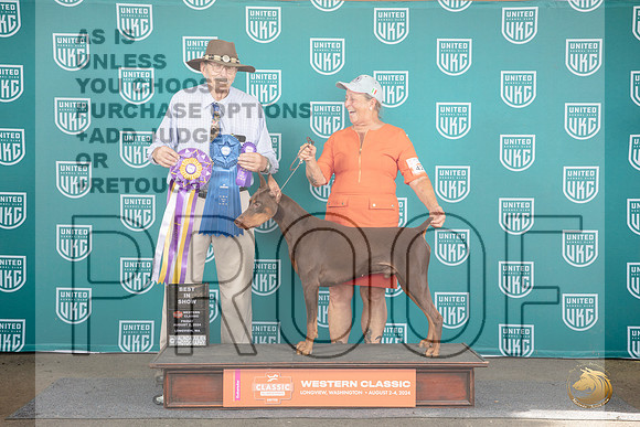 Doberman Pinscher #425 Fri BOB G1 BIS Judge Alan Krenek__JP_1234_Longview WA_2024_HR3