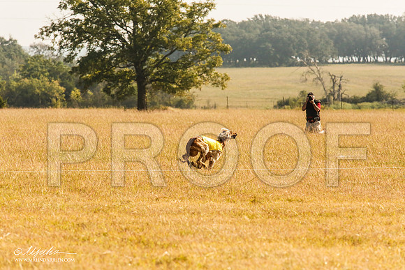 _MJ_4006-AfgBeltonOct2014-HR3