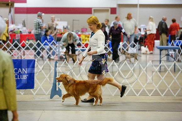 _JJ_6300-AmarilloSept2014-HR3