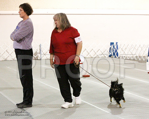 Beg Nov B Sat-8138