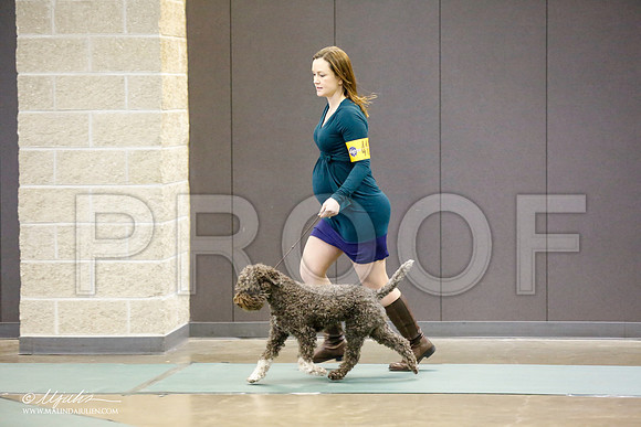 _RH_9241-BeltonJan2015-HR3