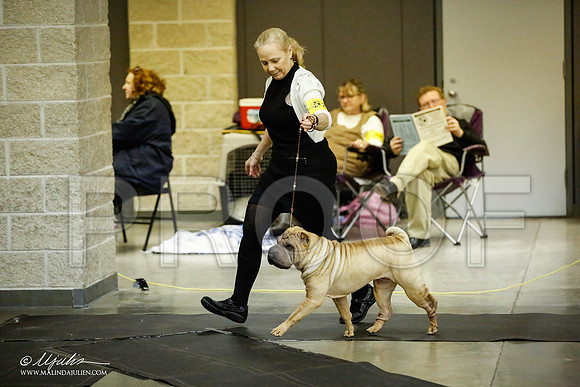 _JJ_5789-BeltonJan2015IABCA-HR3