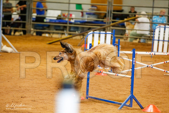 _MJ_2214-AfgBeltonOct2014-HR3