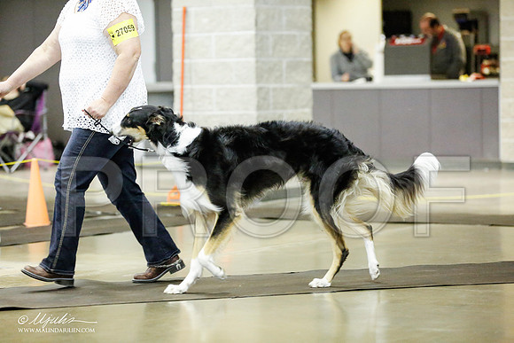 _RH_1322-BeltonJan2015IABCA-HR3