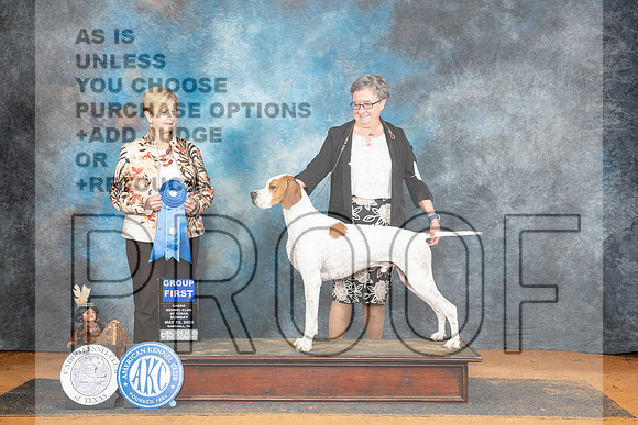 Pointer #? Sun G1 Judge Karen Hynek__JP_8857_MARSHALL_2024_HR3