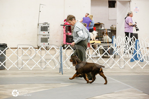 _JN_0772-AblnMay2014-web