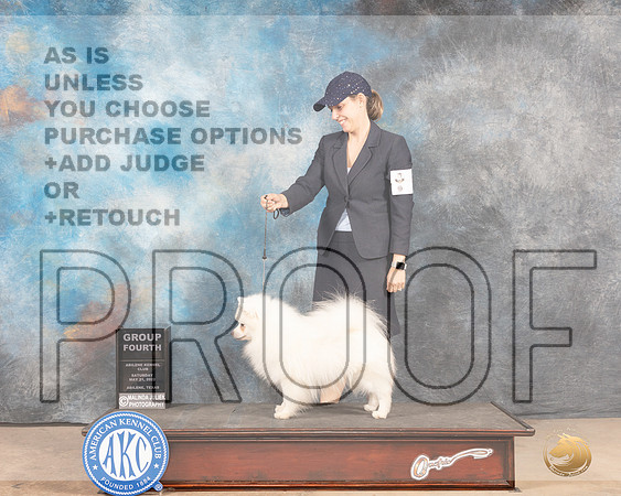 American Eskimo #5 Sat G4 Judge Joan Liebes-MMJ_4188-Abilene2022-HR3