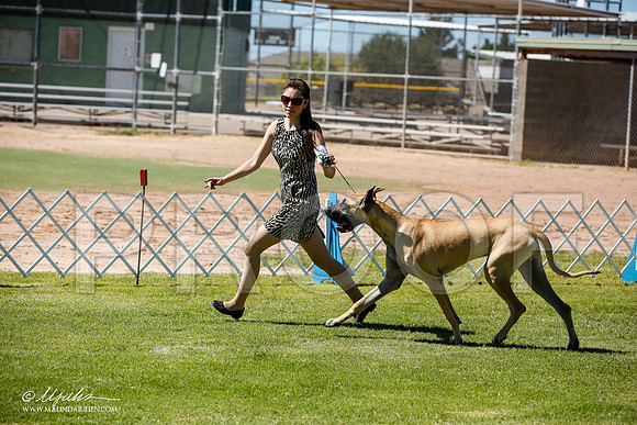 _JN_6343-AlamogordoOct2014-HR3