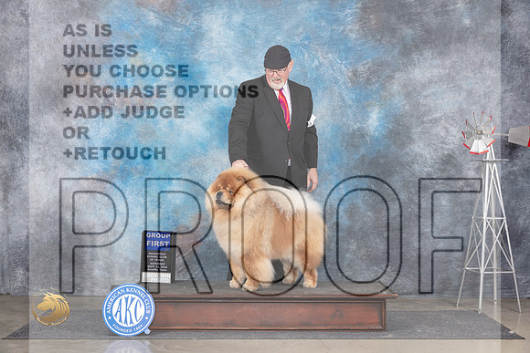 Chow #5 Sat G1 Judge Pat Trotter__JP_5941_Amarillo_2024_HR3