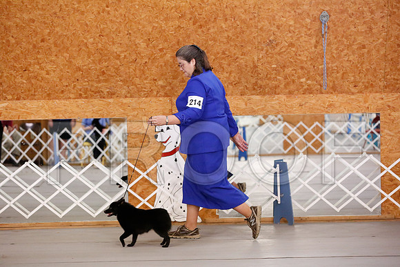 _RH_7687-CarlrolltonSept2014-HR3