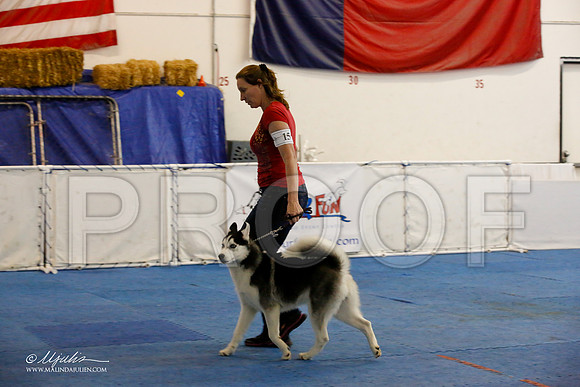 _M3_9433-AddisonHuskyMar2015-HR3