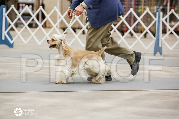 _JN_0675-AblnMay2014-web