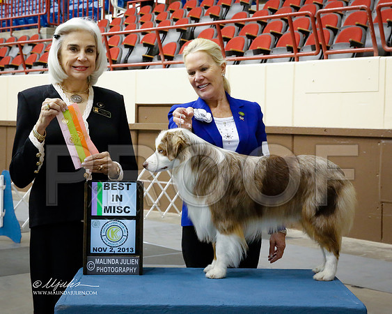 MinAmSh-1200-SANov13-HR