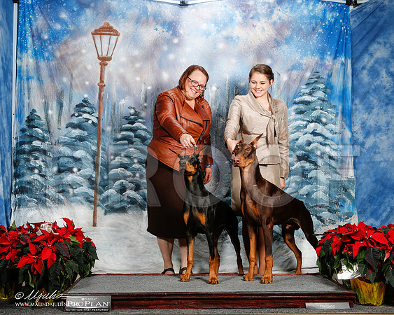_ST_9119-2-DallasDec2014-HR3