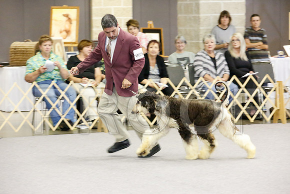 _JJ_0243-AfgBeltonOct2014-HR3
