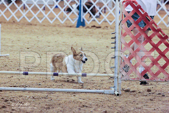 CorgPW-7923 PROOF