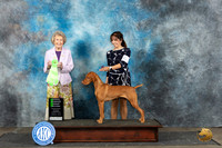 Viszla #6 Sat OHG2 Judge Ann Bolus