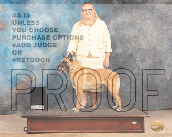Belgian Malinois Custom-MMJ_3058-Addison2022-HR3