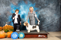 PBGV #6 Sun G4 Judge Donnelle Richards