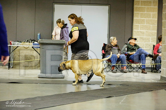 _RH_1893-BeltonJan2015IABCA-HR3