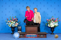 Scottish Terrier #30 SAT SB NGC Judge Nancy Liebes