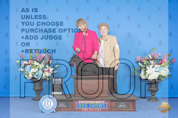 Scottish Terrier #30 SAT SB NGC Judge Nancy Liebes__JP_0024_Houston_2024_HR3
