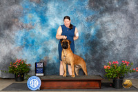 Bullmastiff #7 Sun WDBOWM Judge Karen McFarlane