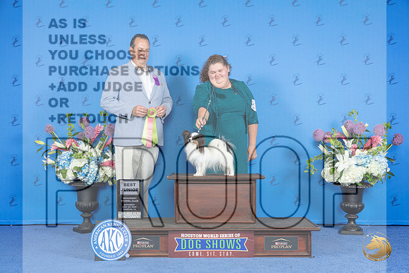 Papillon #J751 SAT BJH Judge Robert Chaffin__JP_0006_Houston_2024_HR3
