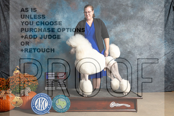 Poodle Std #11 Sat BOWOHBOB Judge Donelle Richards_MJ_5995_Belton_2022_HR3
