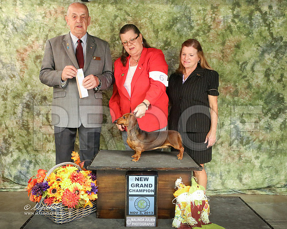 dachS-7388-SANov13-HR