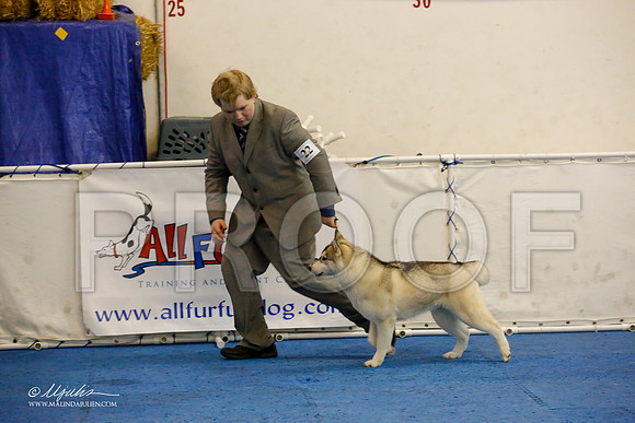 _M3_8805-AddisonHuskyMar2015-HR3
