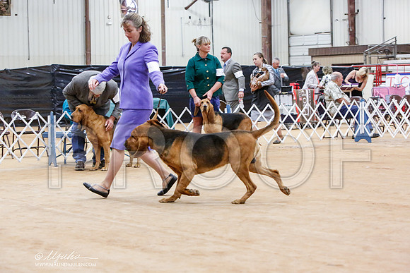 _JN_6354-TxArJun2014-HR3