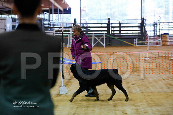 rott-4170-MrshlDec13-HR