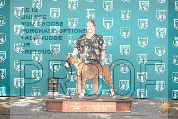 Boxer #109 Sun BOB G3 Judge Sharron Griffon__JP_1747_Longview WA_2024_HR3
