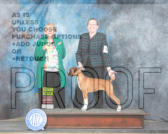 Boxer #6 Sat PG3 Judge Carol White Moser__JP_4907e_Fayetteville2024-HR3
