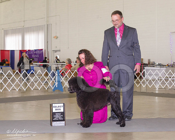 _RH_8039DallasDec2014-HR3