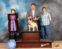 French Bulldog #7 Sun BIS Judge Pat Trotter