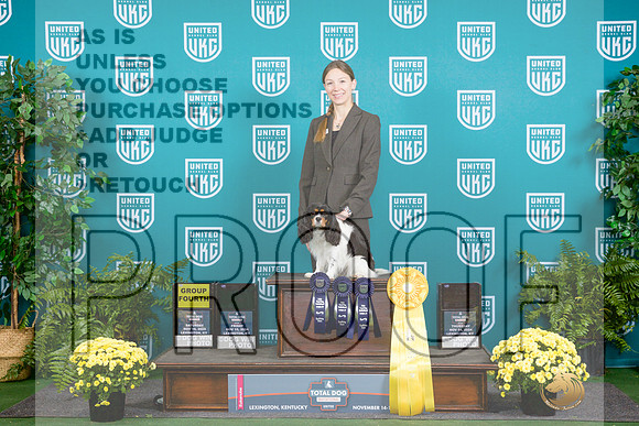 Cavalier King Charles Spaniel # see note__JP_2607_UKCTDI2024_HR3