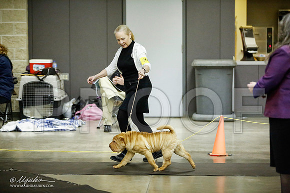 _JJ_5696-BeltonJan2015IABCA-HR3